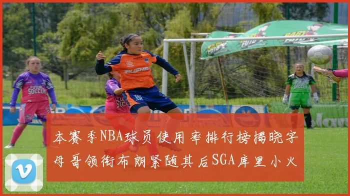 本赛季NBA球员使用率排行榜揭晓字母哥领衔布朗紧随其后SGA库里小火车紧追不舍