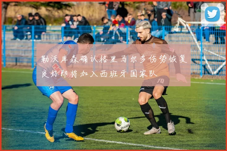 勒沃库森确认格里马尔多伤势恢复良好即将加入西班牙国家队